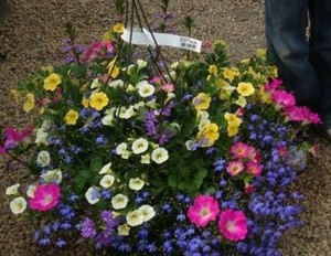 HB Pastel Easter Eggs combo Hanging Basket (c4)